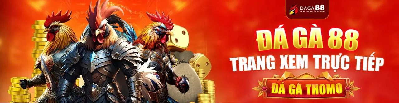 Minh họa đồng ý cookie và bảo vệ dữ liệu trên gi8 code